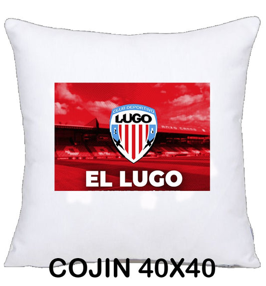 COJIN 40X40 LUGO