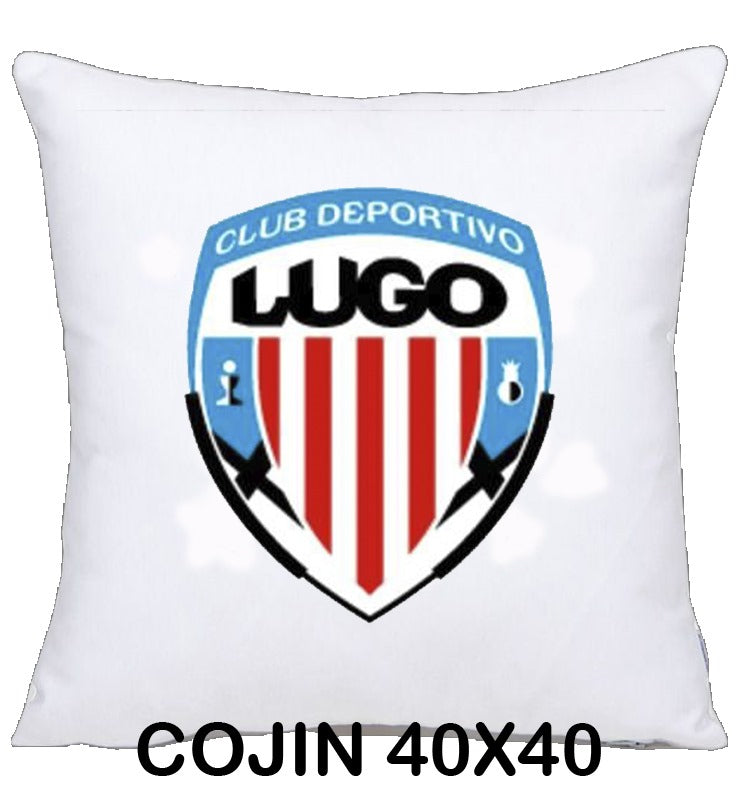 COJIN 40X40 LUGO