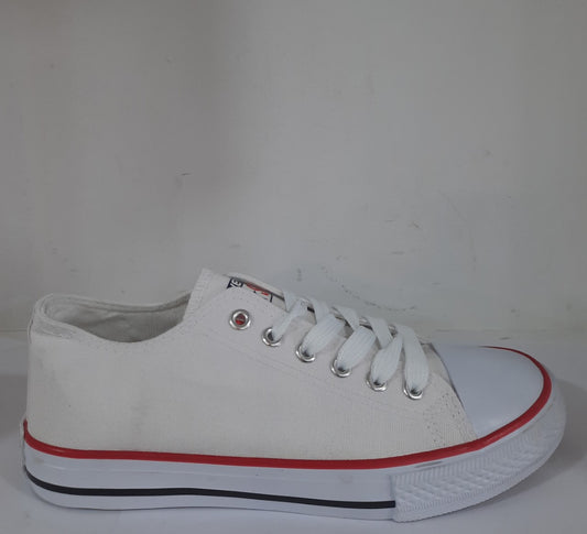 DEPORTIVA CONVERSE 2587